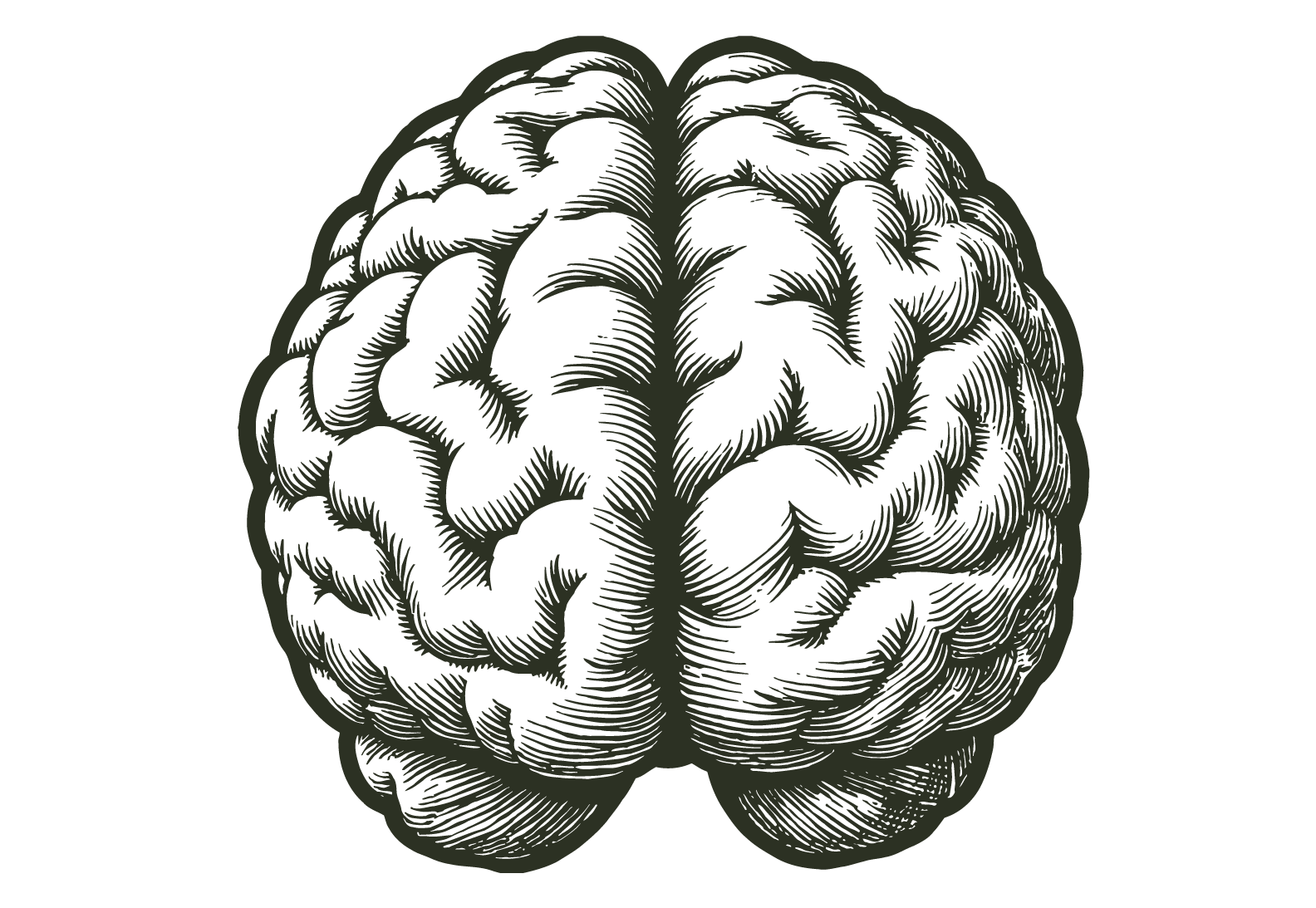 Hand-drawn brain representing EMDR